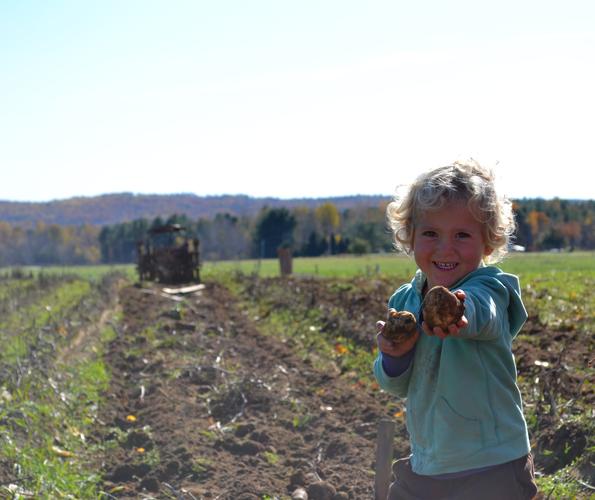 ada ohio harvest and herb festival,History and Significance